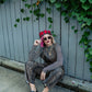 UNTAMED ENERGY LEOPARD DENIM OVERALLS